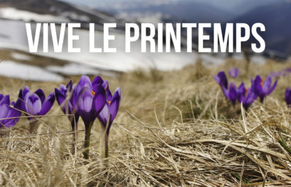 Le printemps arrive mercredi !